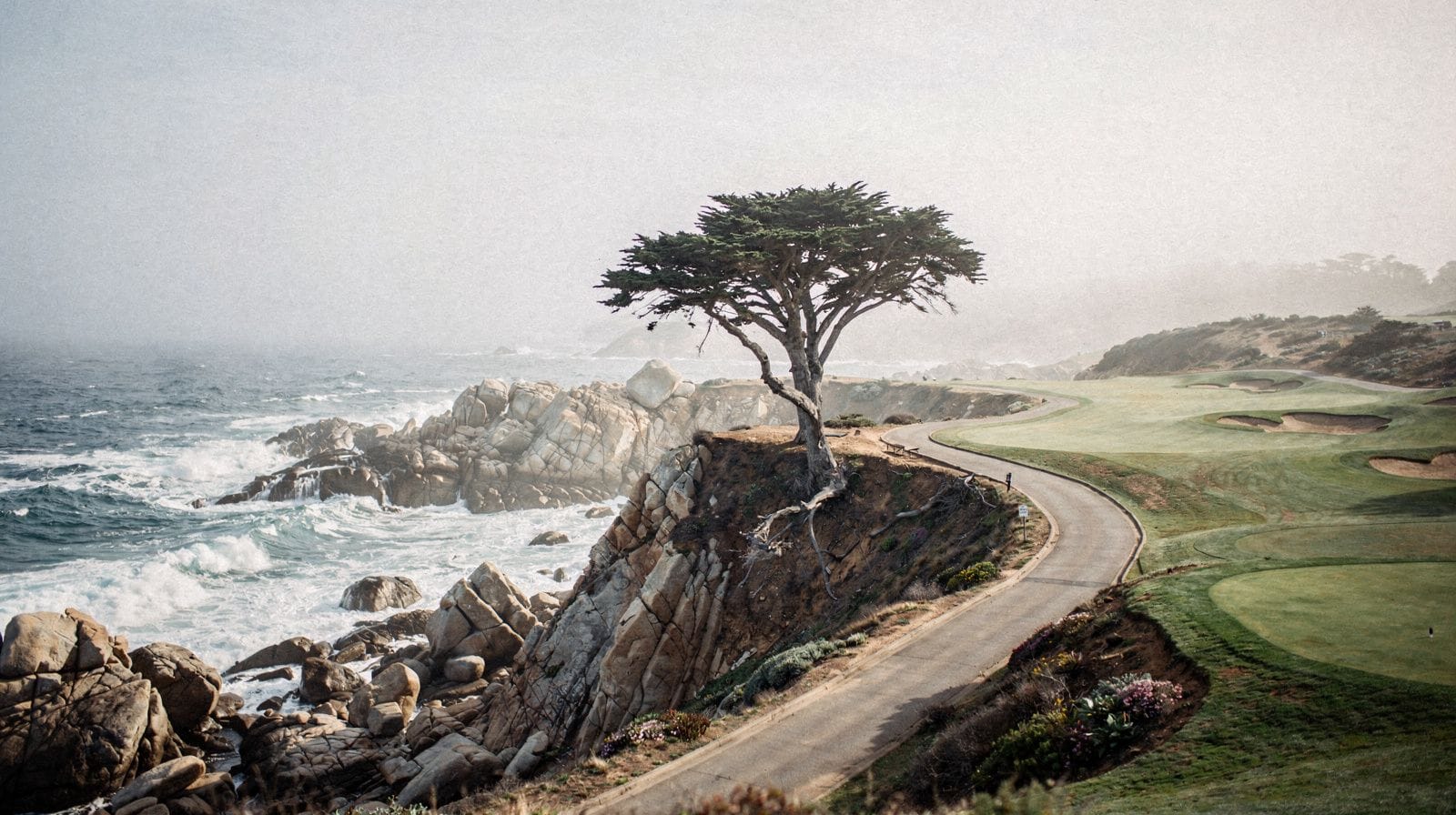 Is the 17-Mile Drive Worth It? An Honest Cost-Benefit Take