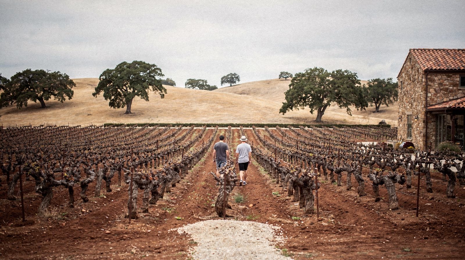 Napa Tasting Fees Explained: What a Day of Wine Actually Costs