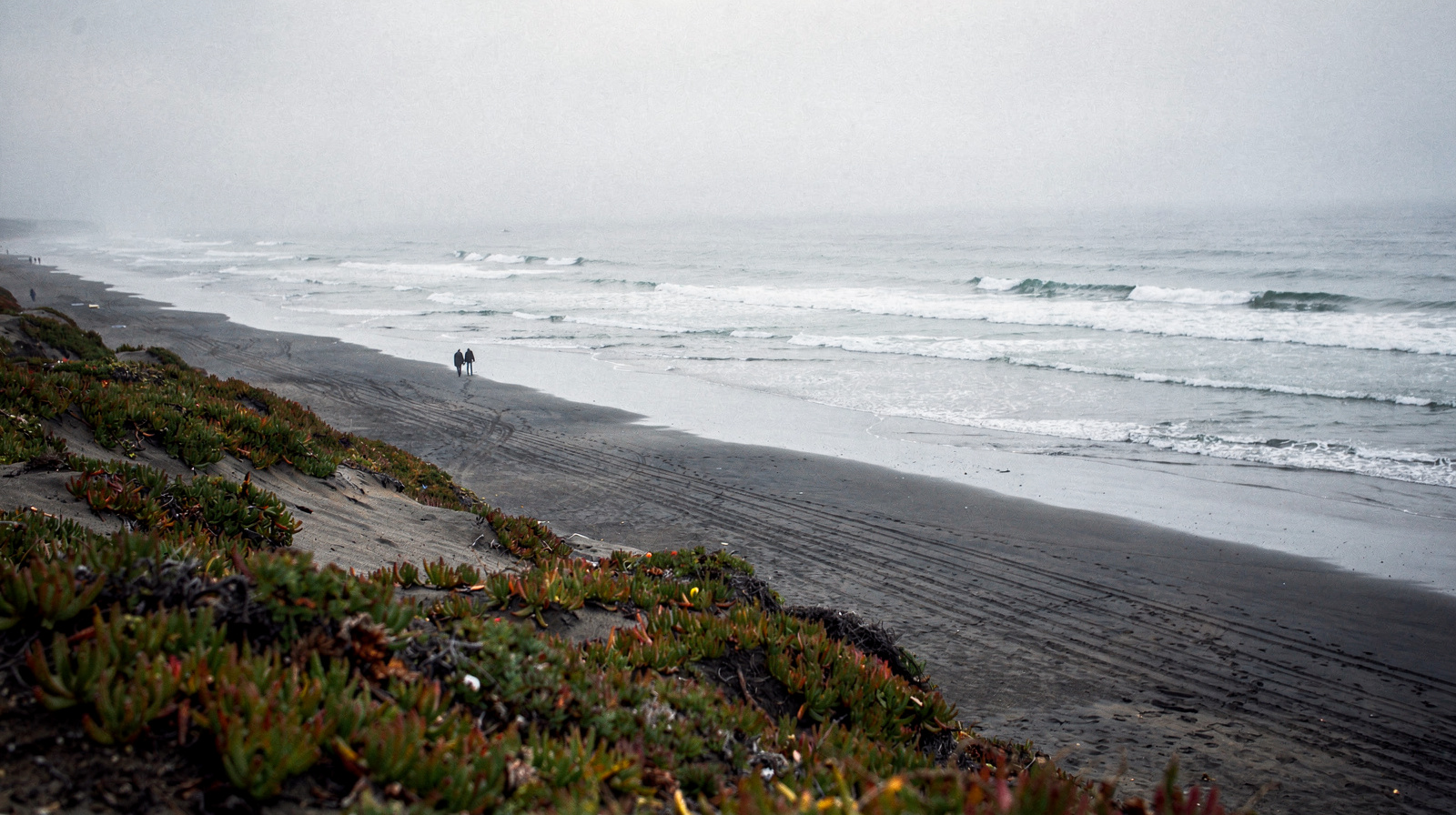 Ocean Beach: What to Know Before You Go