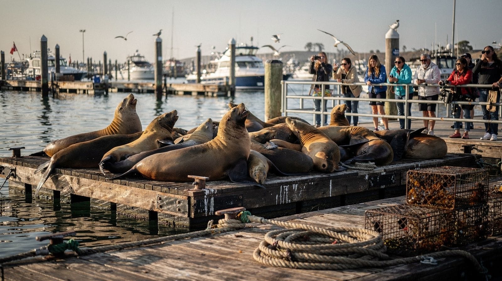 Fisherman's Wharf