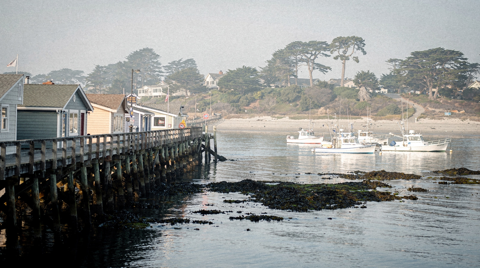 Monterey
