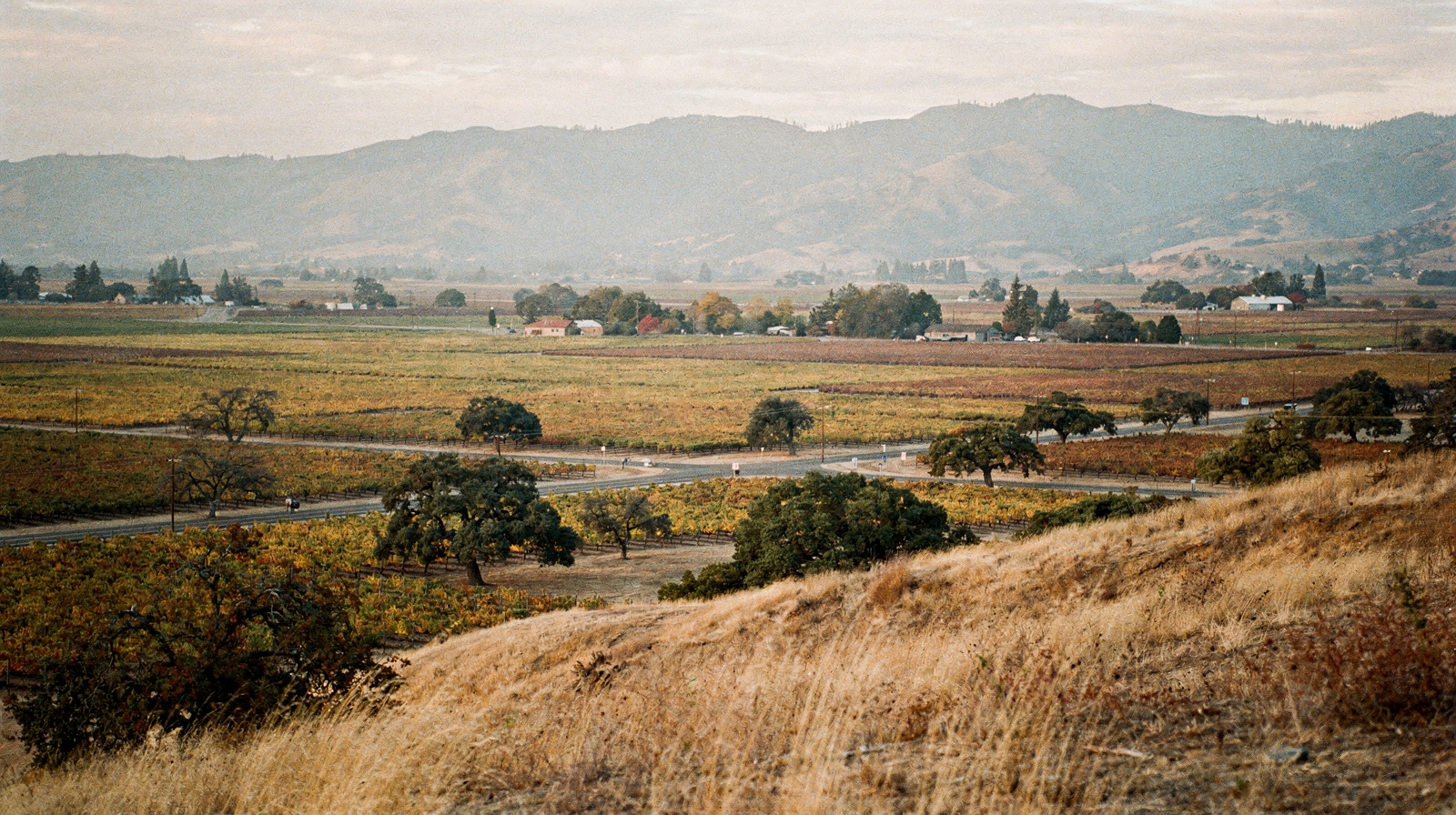 Napa Valley