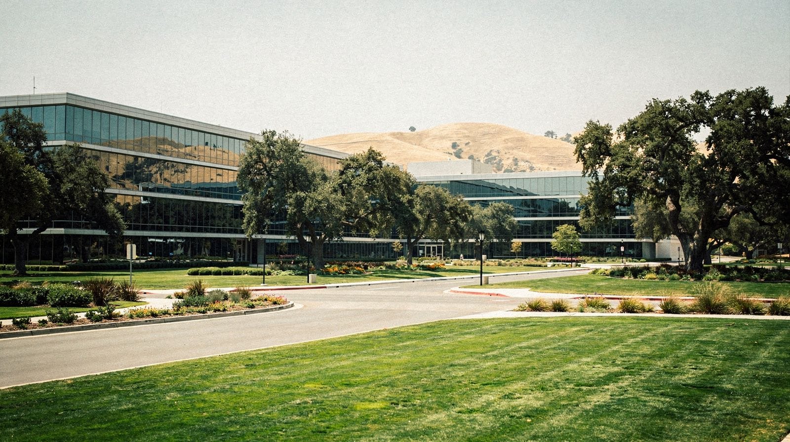 Silicon Valley: A Traveler's Guide to the Tech Corridor