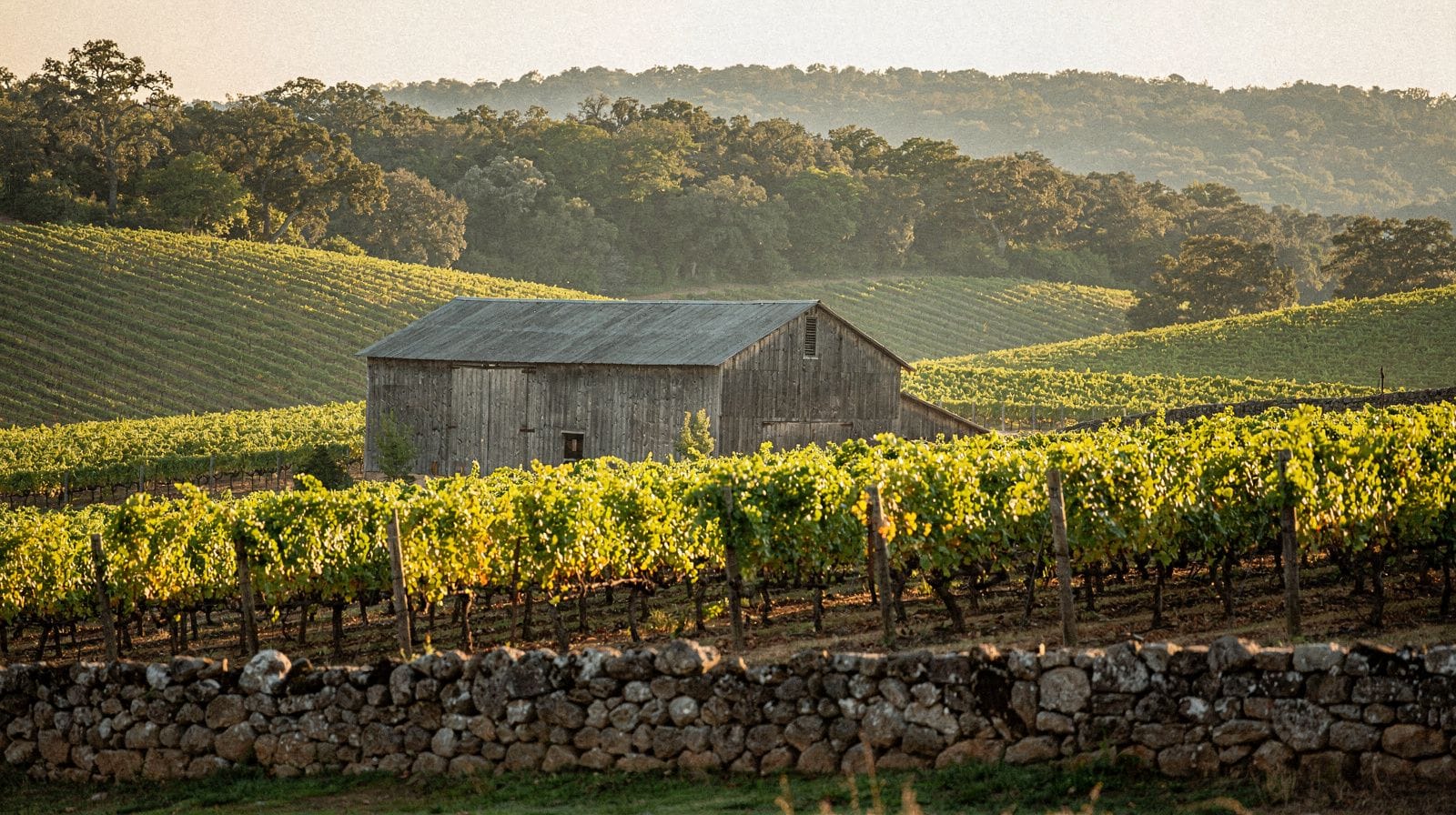 Sonoma County: The Rural Wine Country North of San Francisco