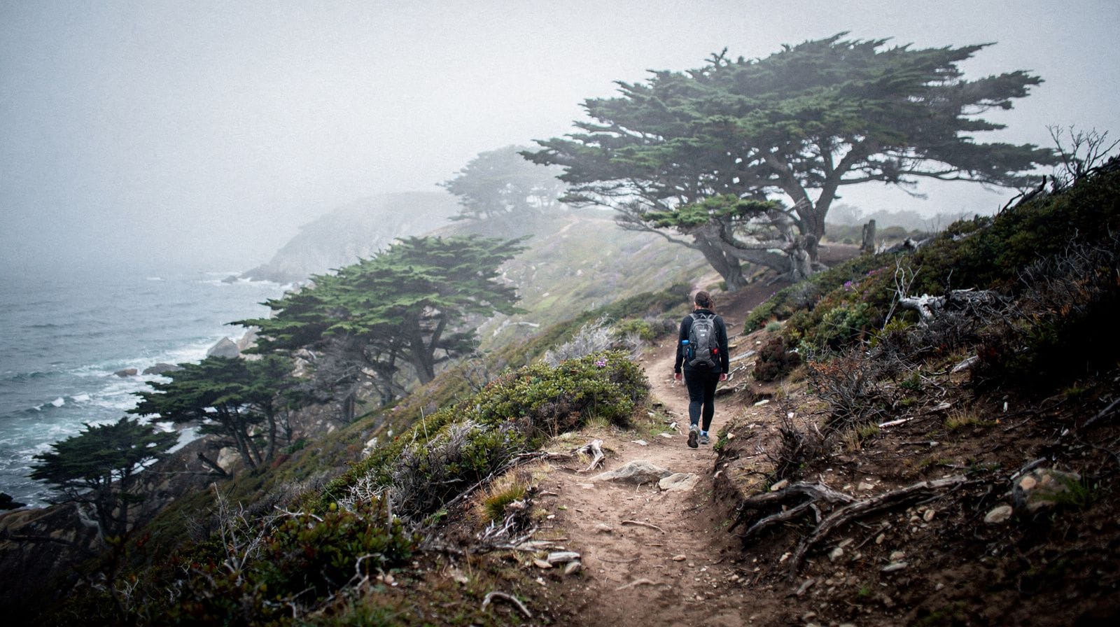 Lands End Coastal Trail: San Francisco's Wild Edge on Foot