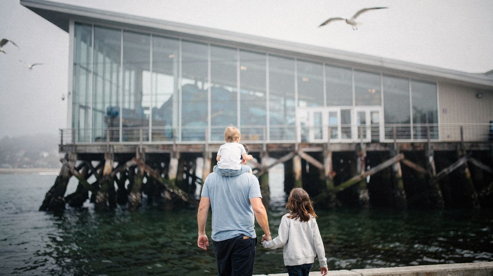 Monterey Bay Aquarium with Kids: A Family Timing Guide