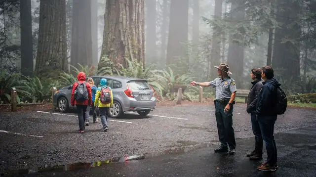 Muir Woods Tickets and Parking Guide: The Reservation System Explained