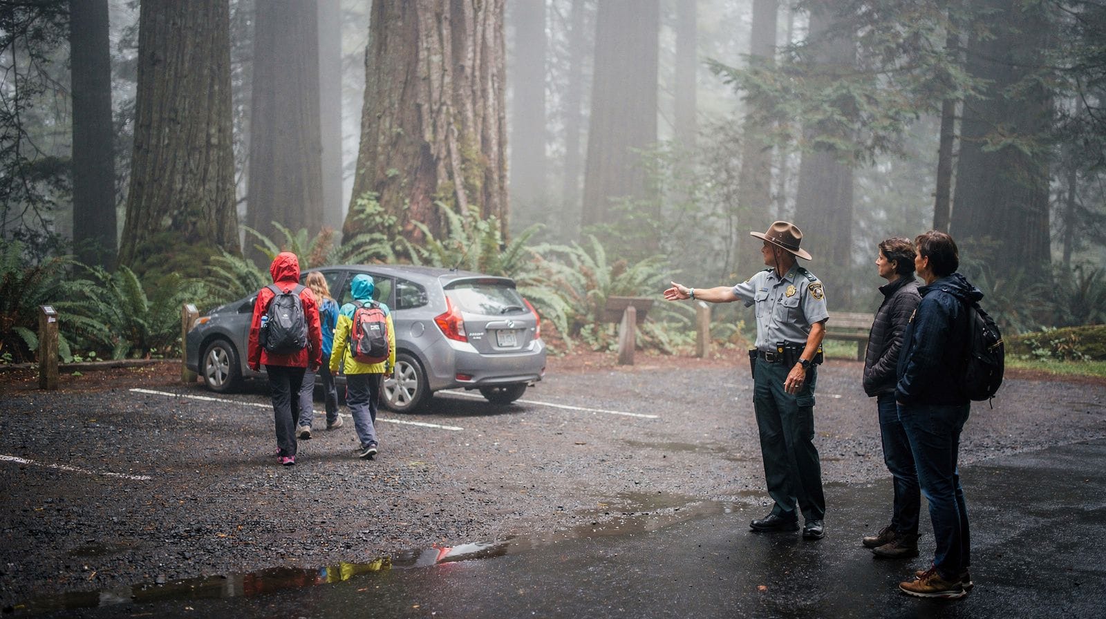Muir Woods Tickets and Parking Guide: The Reservation System Explained