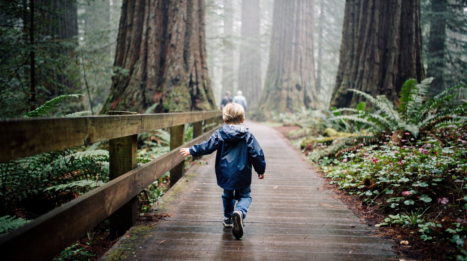Muir Woods with Kids: Which Trails Actually Work for Families