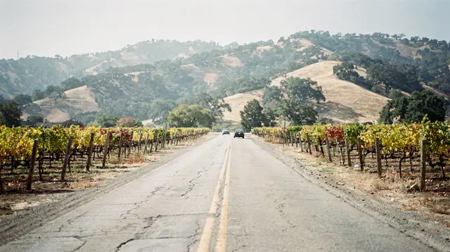 How to Plan a Perfect Napa Valley Day Trip from San Francisco