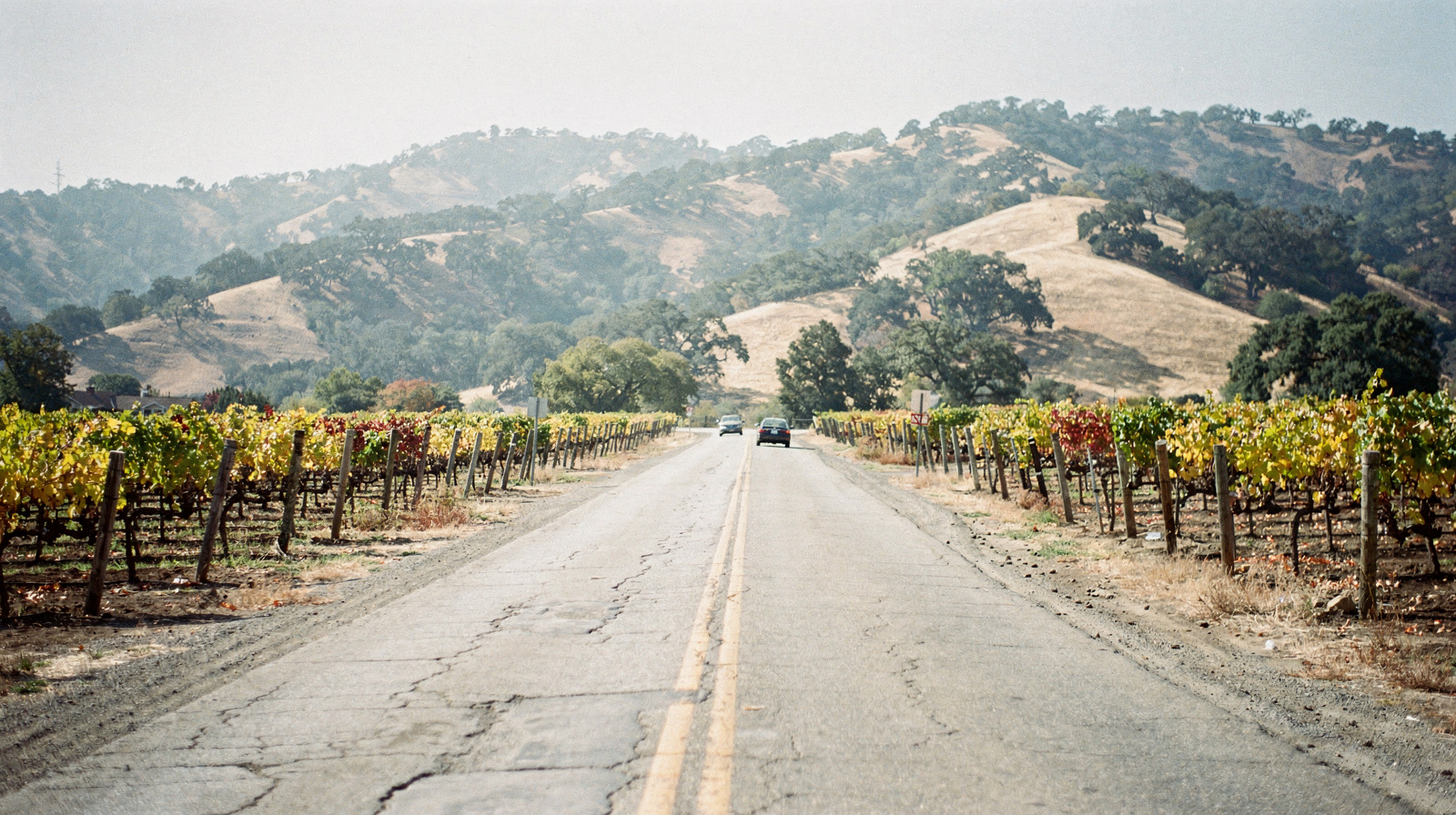 How to Plan a Perfect Napa Valley Day Trip from San Francisco