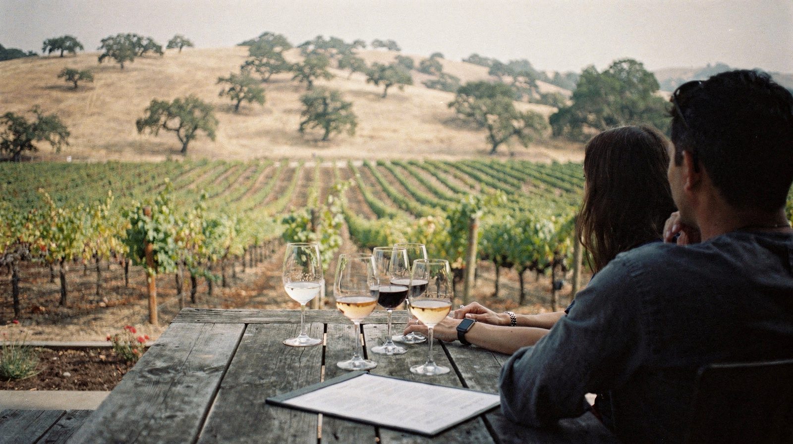 Napa Valley Wine Tours: Group Bus, Private Driver, or Self-Driving?