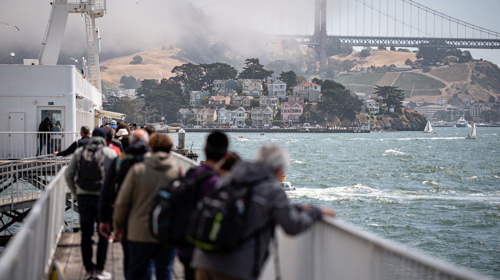 San Francisco Cruise Shore Excursion Guide: Making the Most of One Day