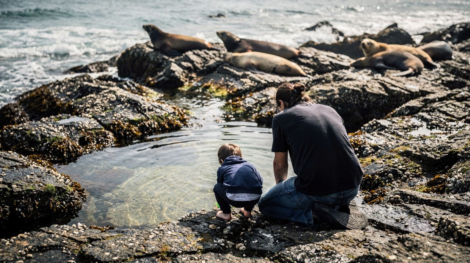 San Francisco with Kids: Which Attractions Actually Work for Families