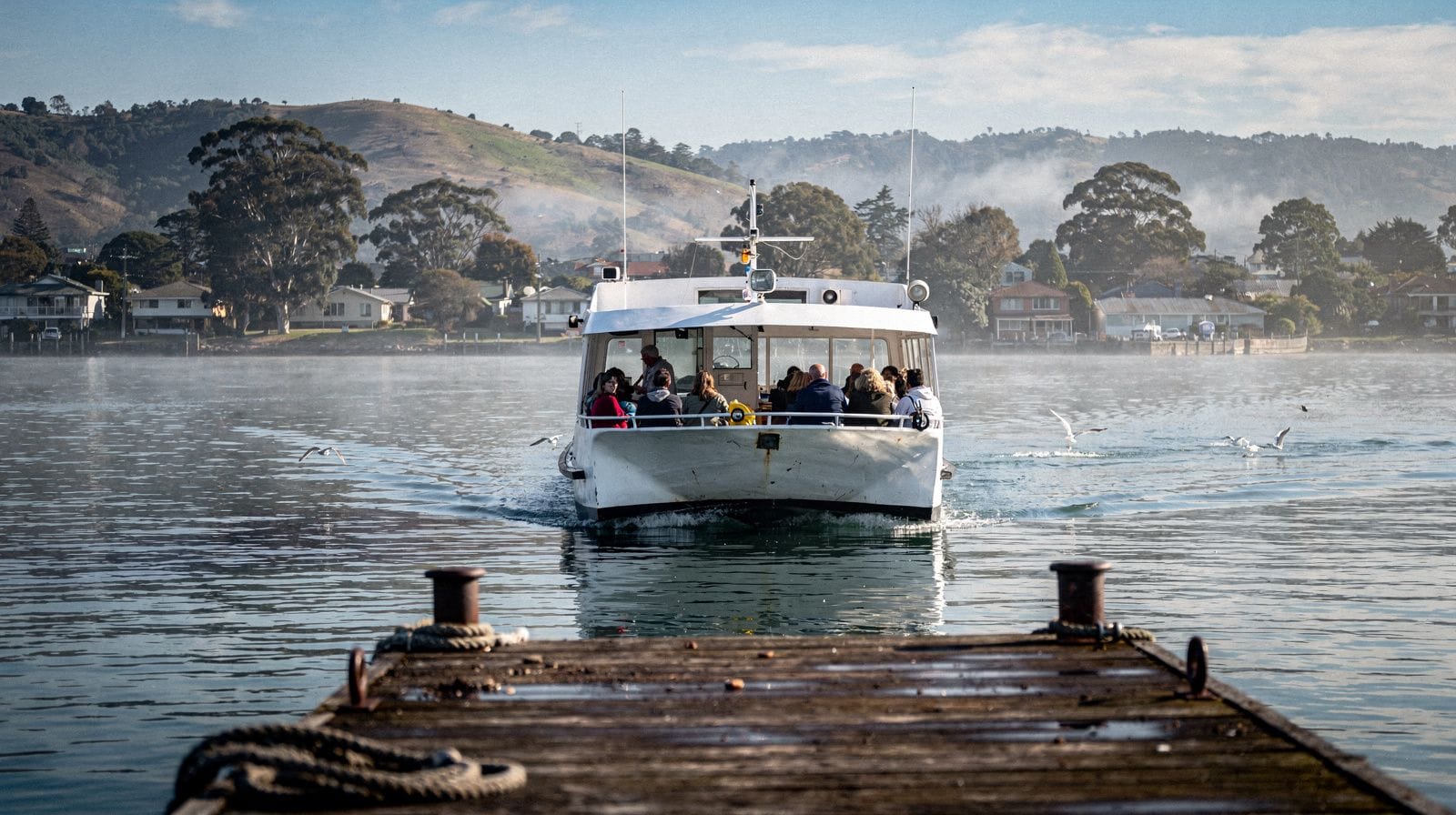 Sausalito Ferry and Hop-On Hop-Off Passes: How the Combos Work