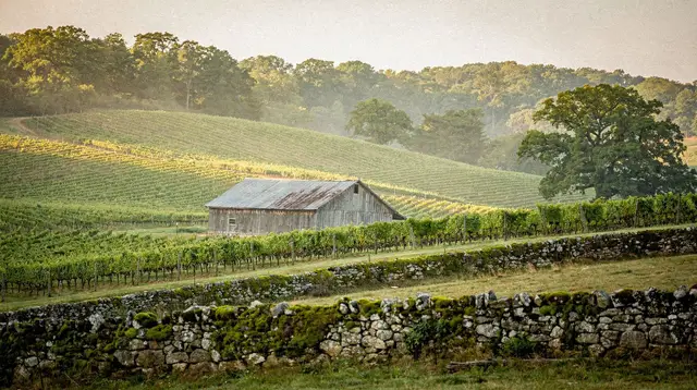 Sonoma Wine Tour Guide: How to Visit Sonoma County's Wineries