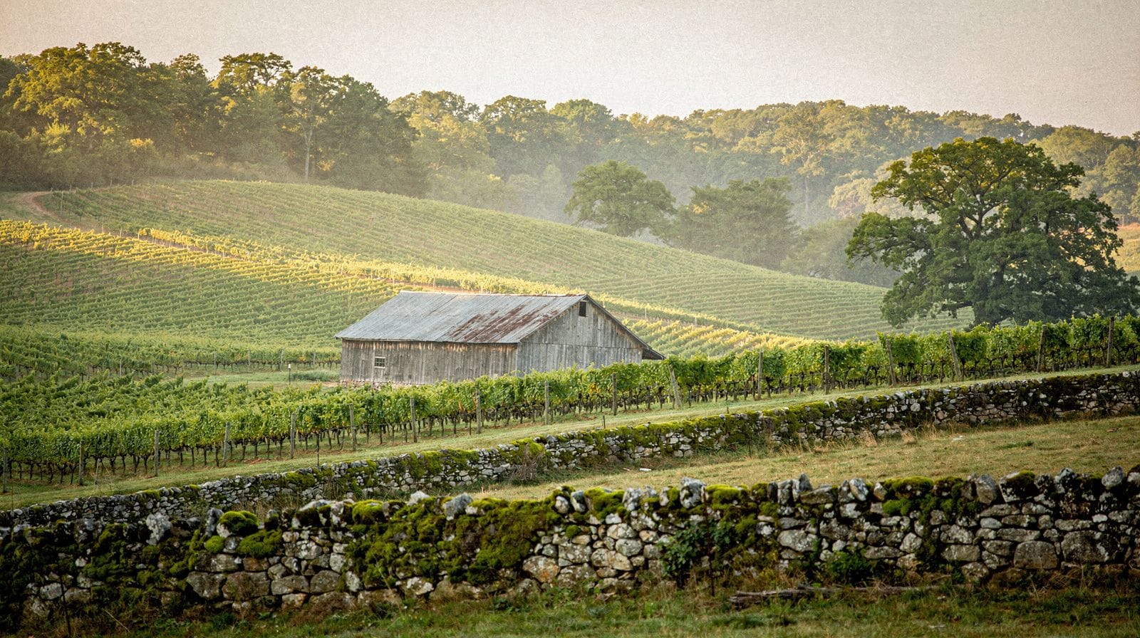 Sonoma Wine Tour Guide: How to Visit Sonoma County's Wineries