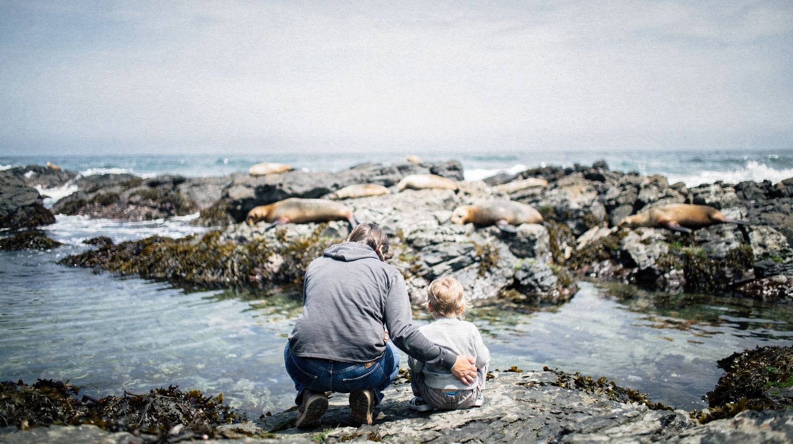 A Family-Friendly San Francisco Week: City Sights, Redwoods and Monterey Bay