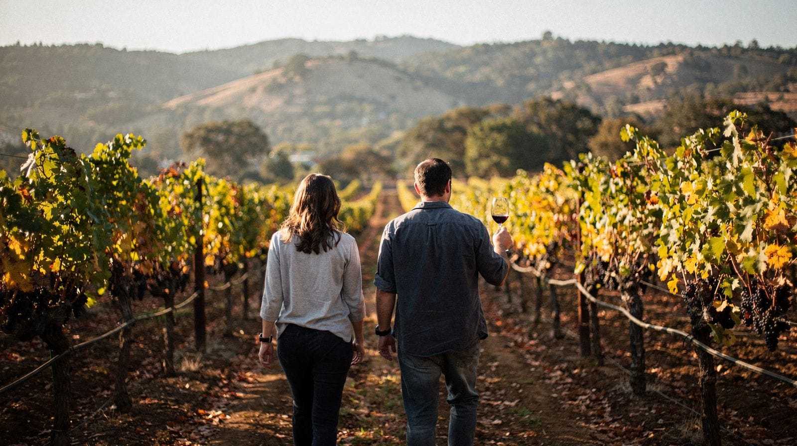 Four Days: San Francisco City Sights and a Wine Country Loop
