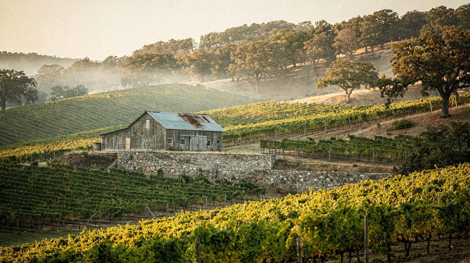 Napa and Sonoma Wine Country Weekend