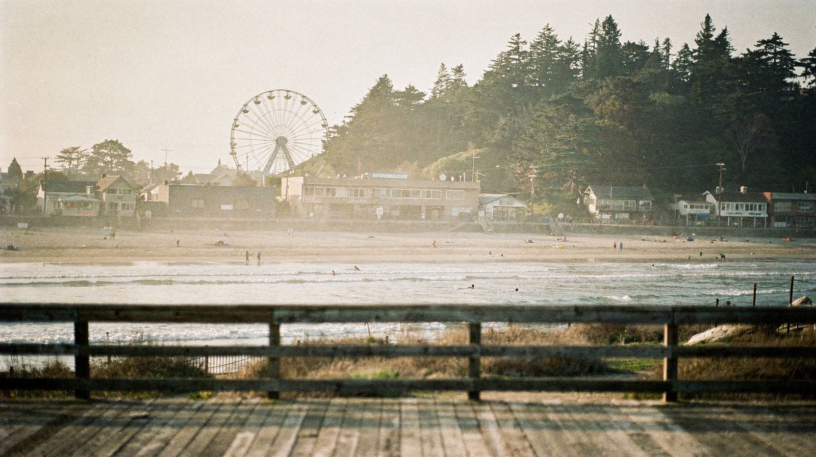 Peninsula Coast to Santa Cruz: A One-Day Trip
